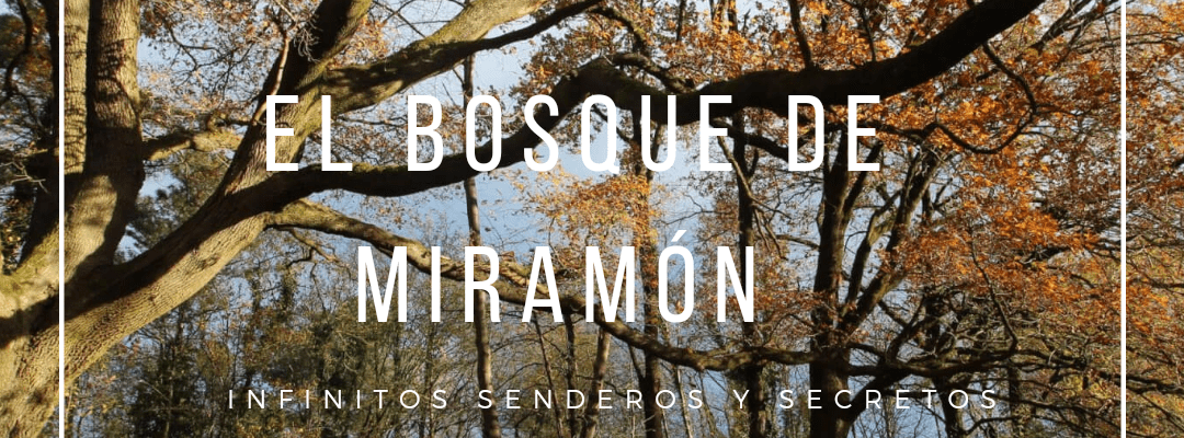 El Bosque de Miramon y sus secretos.