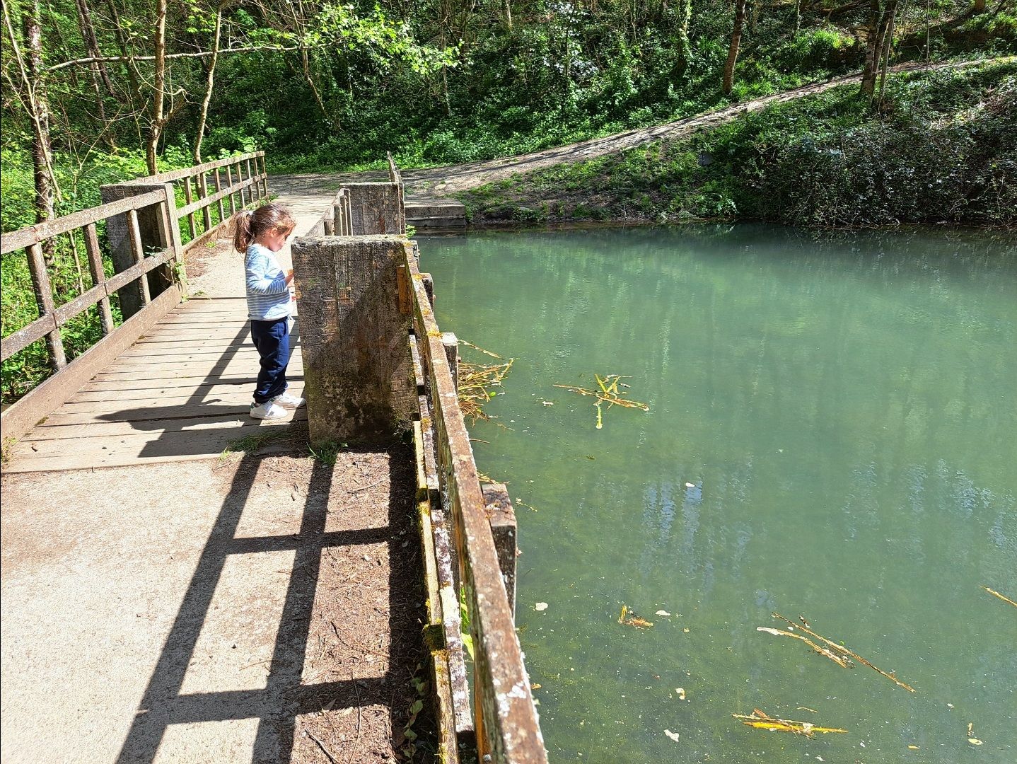 El estanque del parque de Miramón 