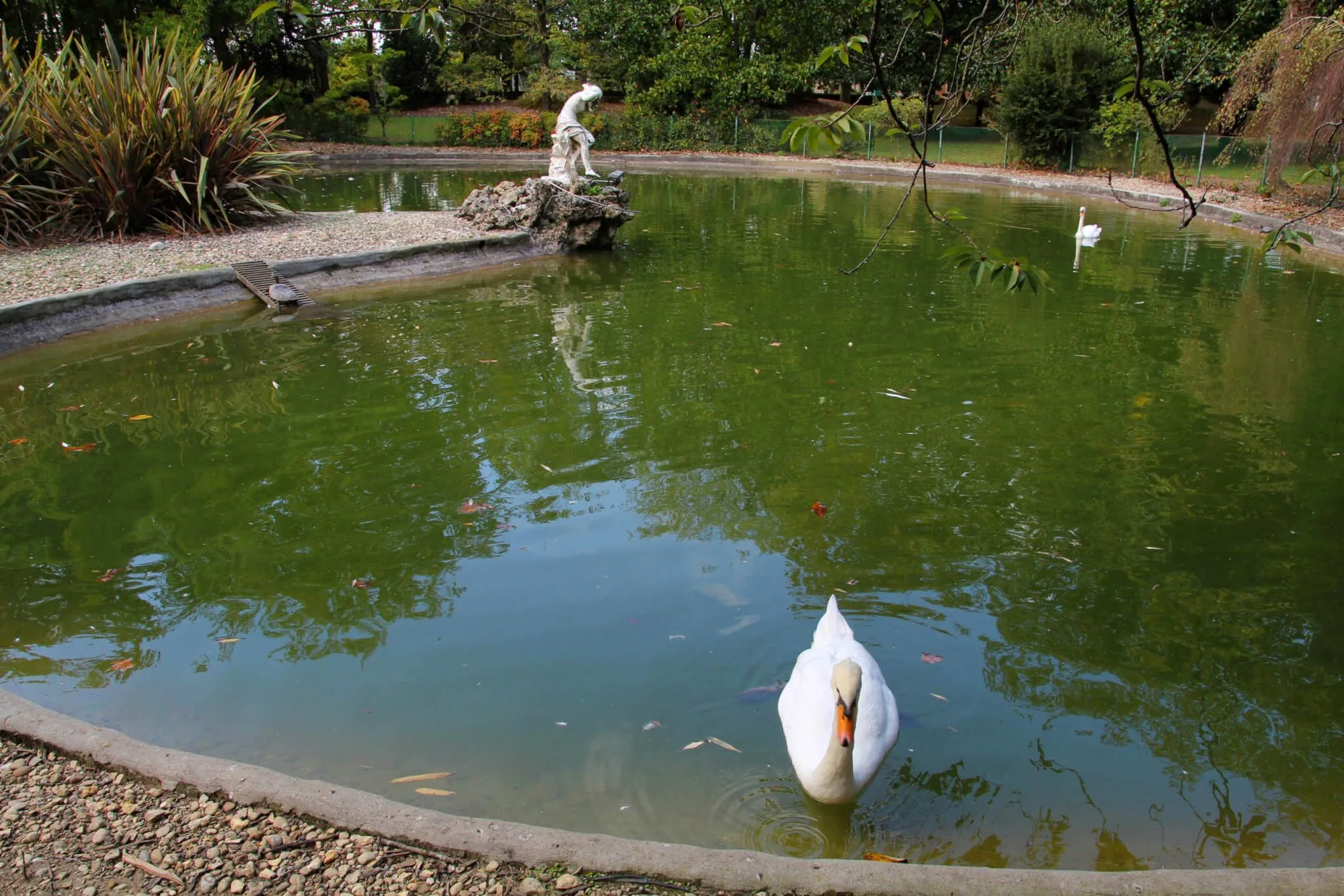 Estanque del parque de Aiete.