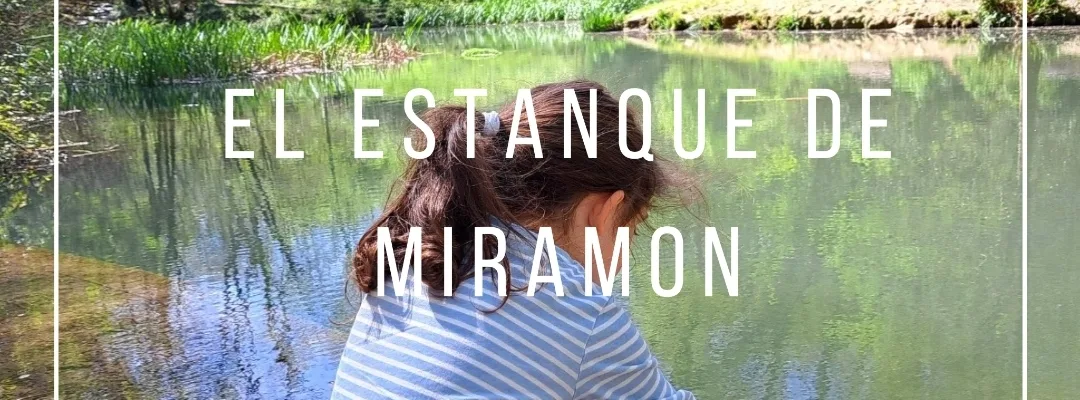 El estanque del parque de Miramón