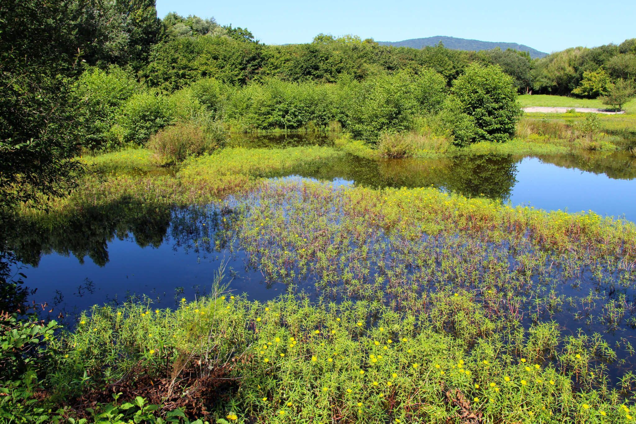 Parque Ecológico Plaiaundi