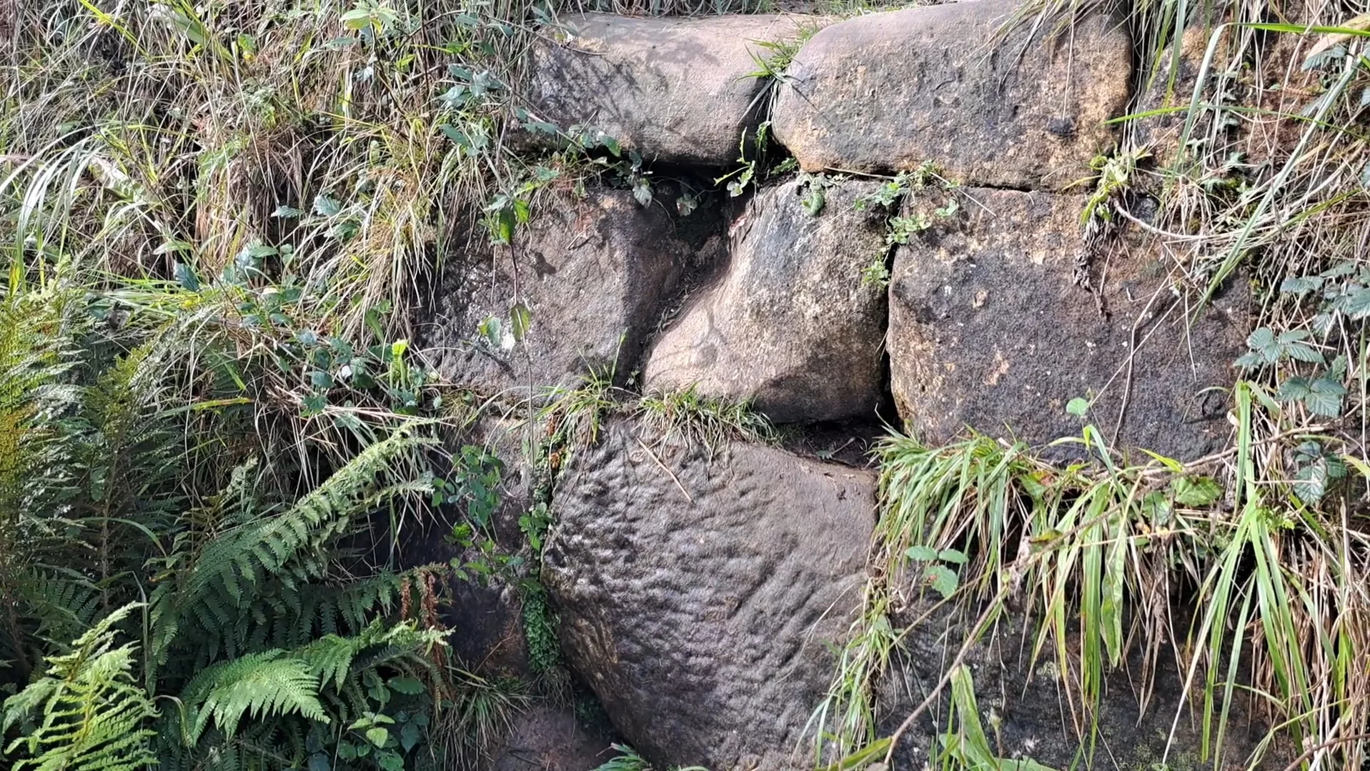 El fuerte del Almirante de Ulia