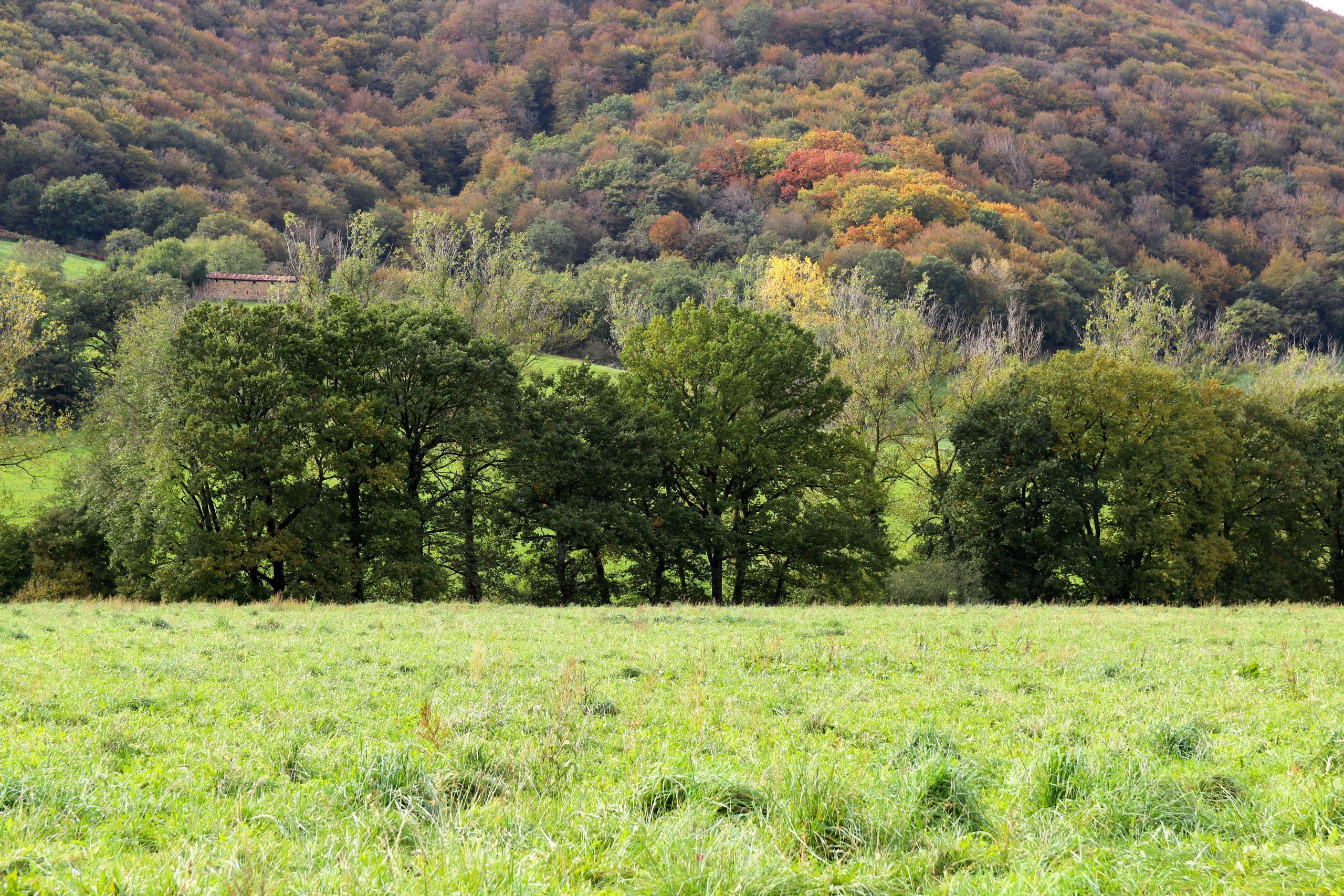 Visitar Ultzama en Navarra en otoño