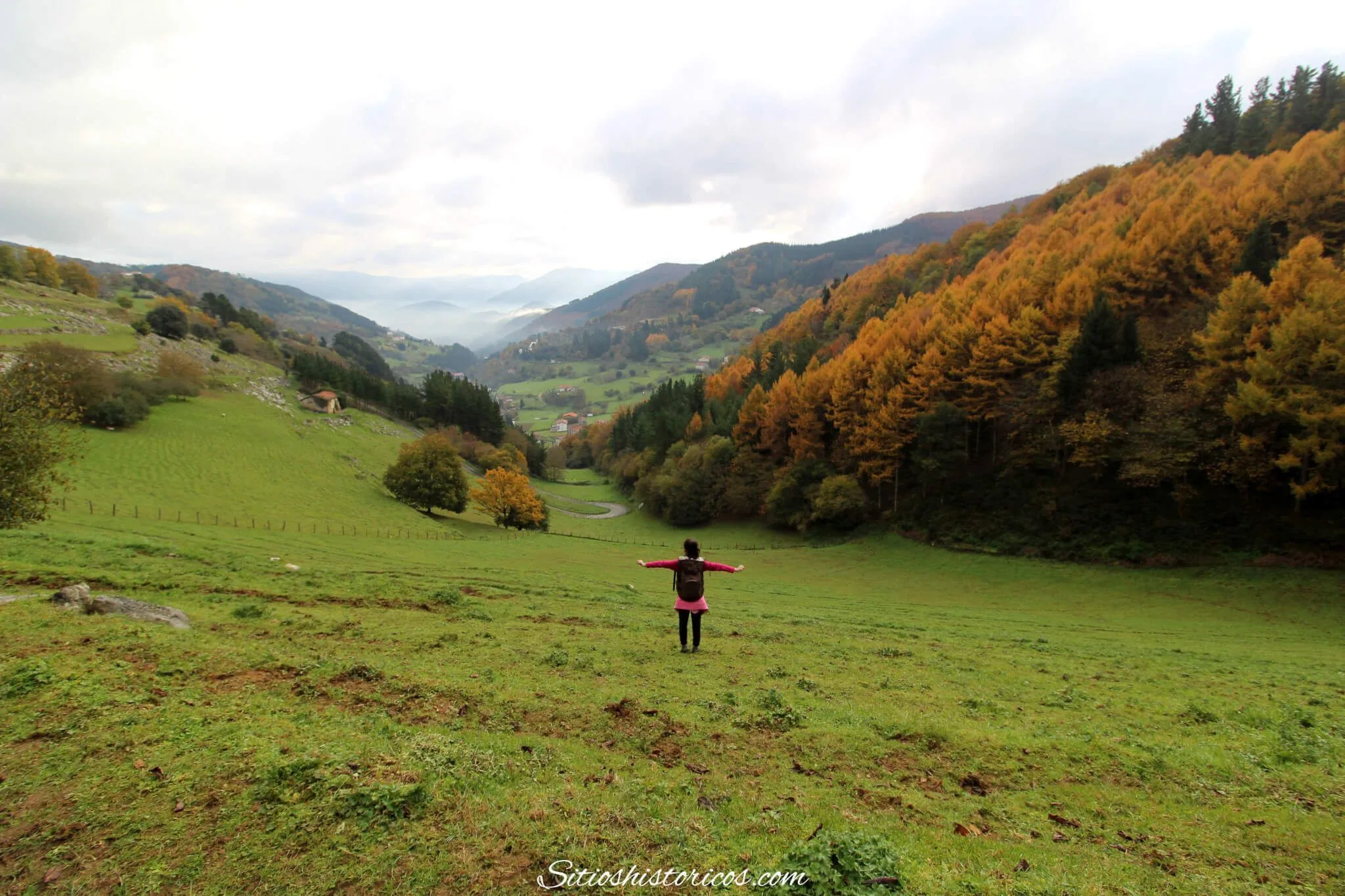 Ruta por los bosques de Albiztur