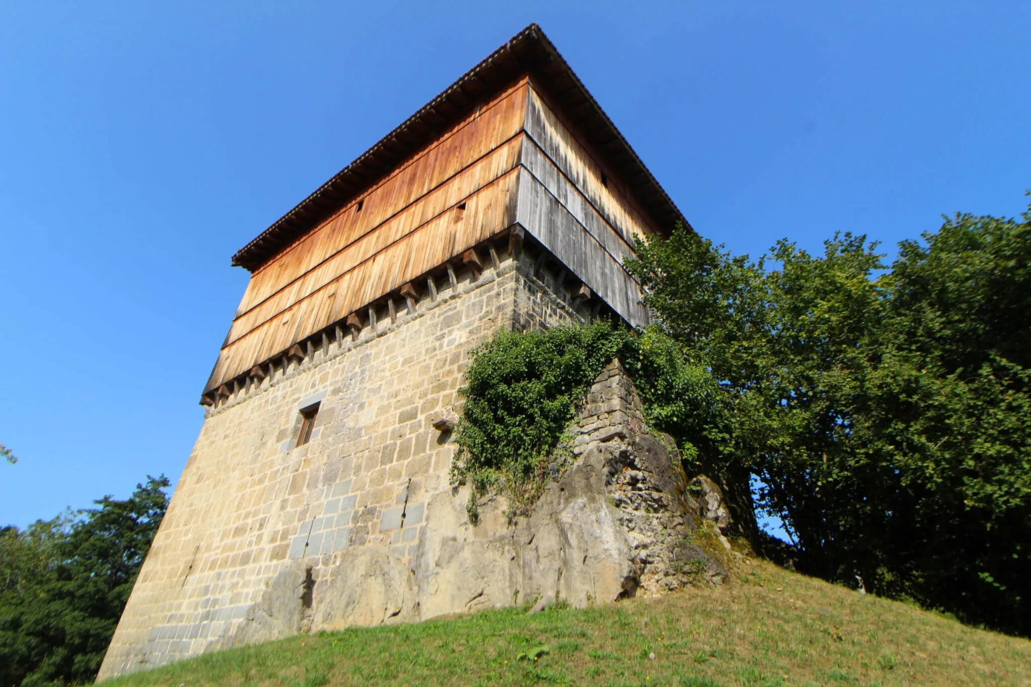 Donamaria
