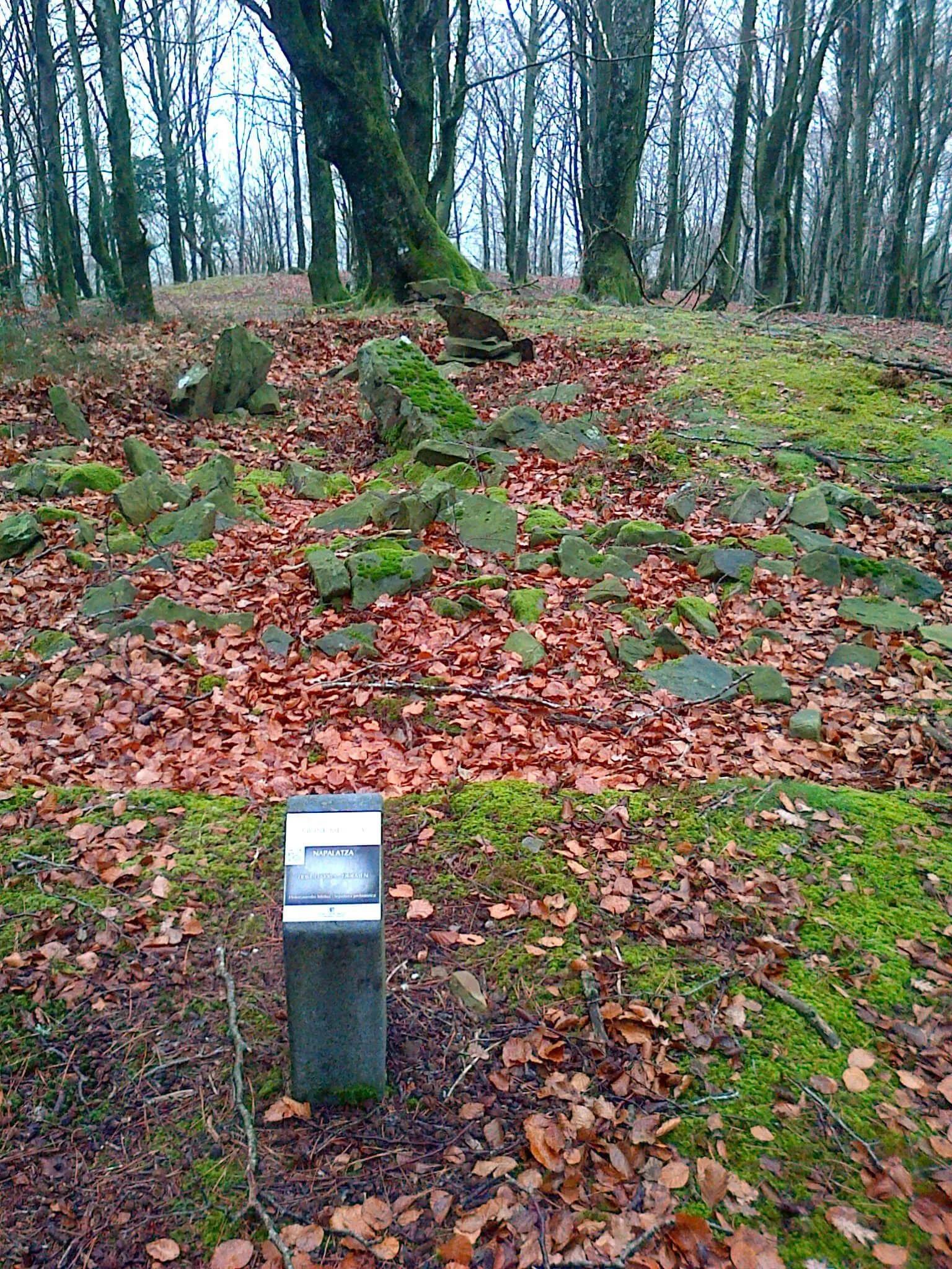 Dolmen de Idiazabal