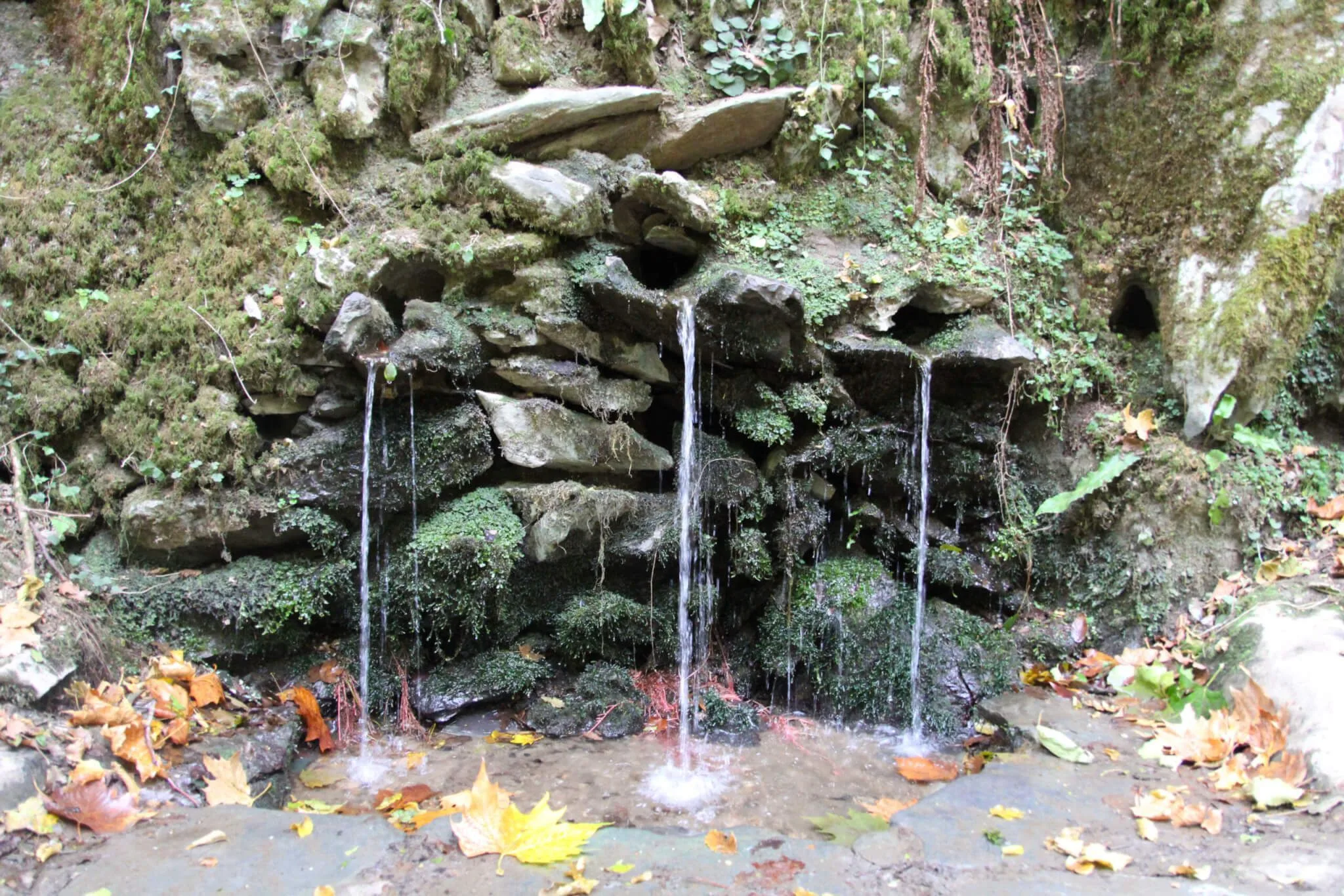 Fuente San Juan Xar
