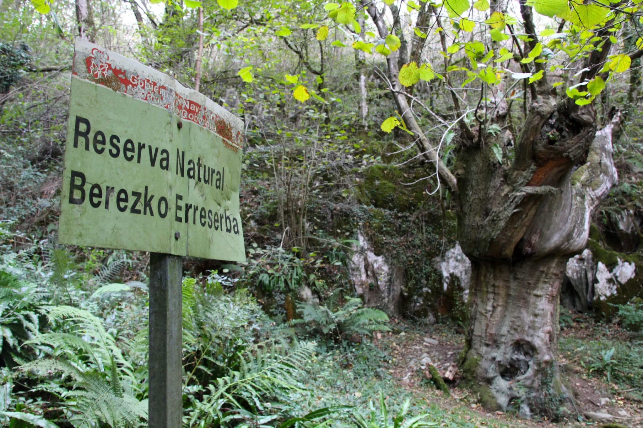 Reserva Natural San Juan Xar