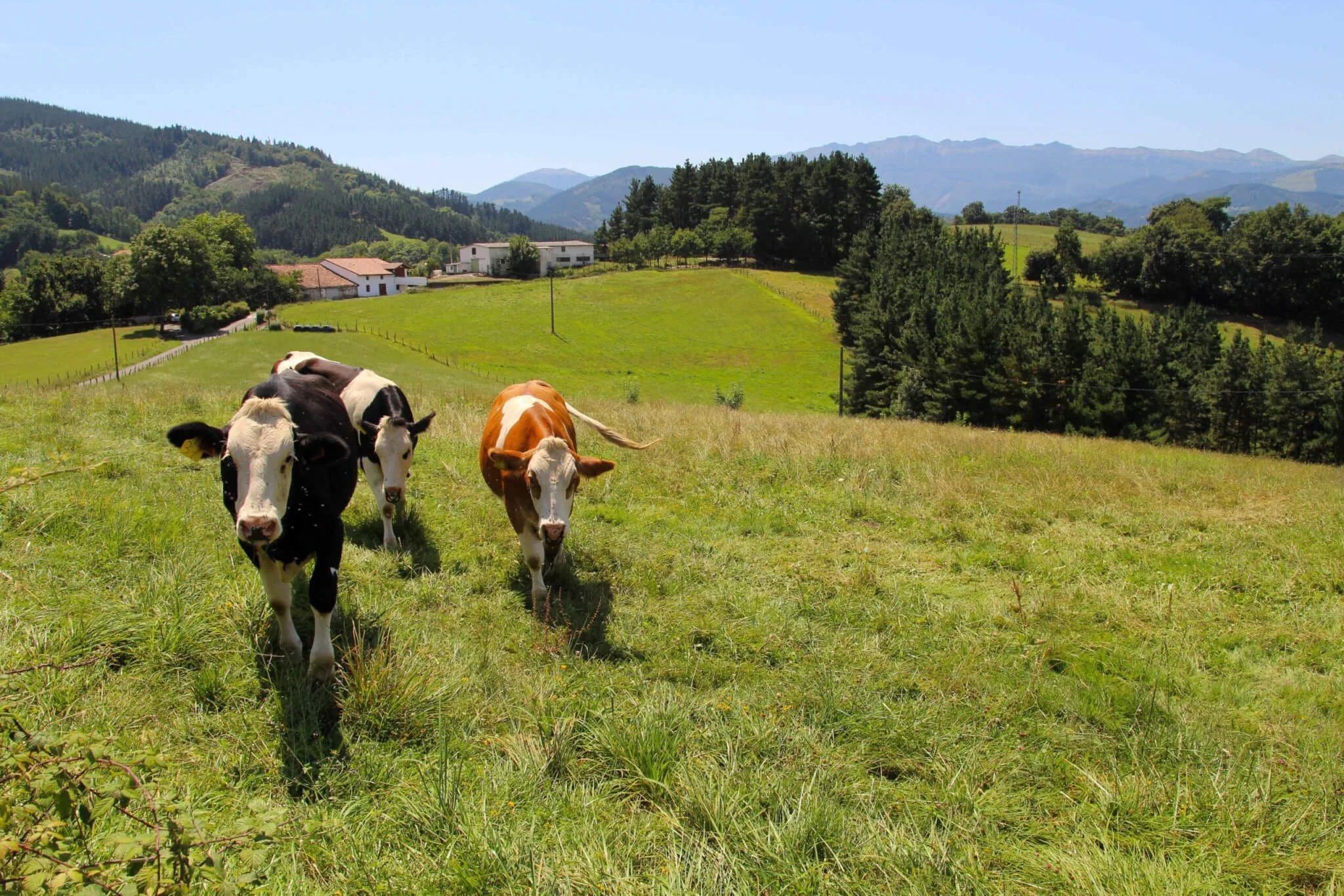 Olaberria Goierri Gipuzkoa