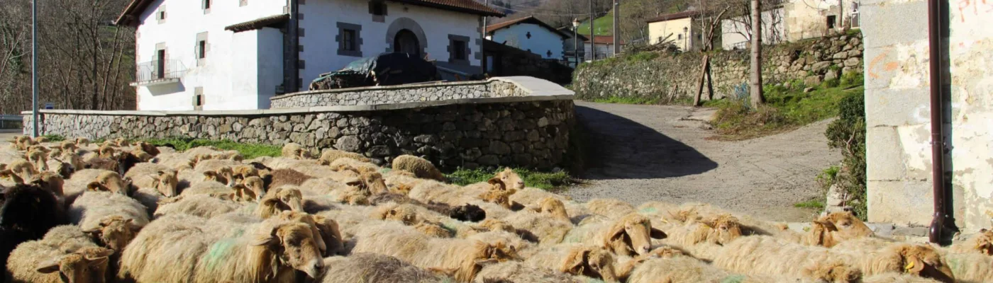 Turismo en el valle de Araitz