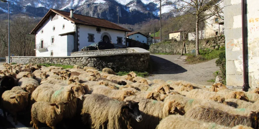 Turismo en el valle de Araitz