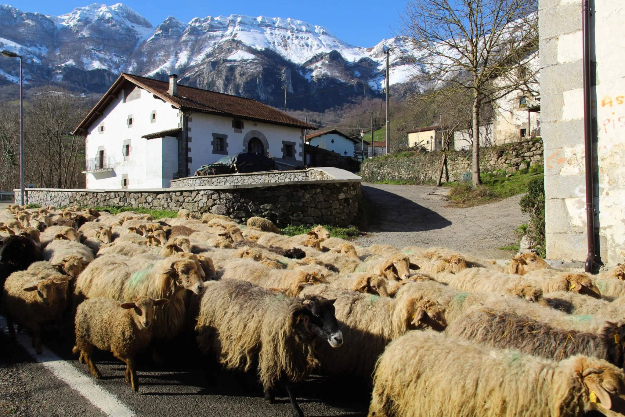Turismo en el valle de Araitz