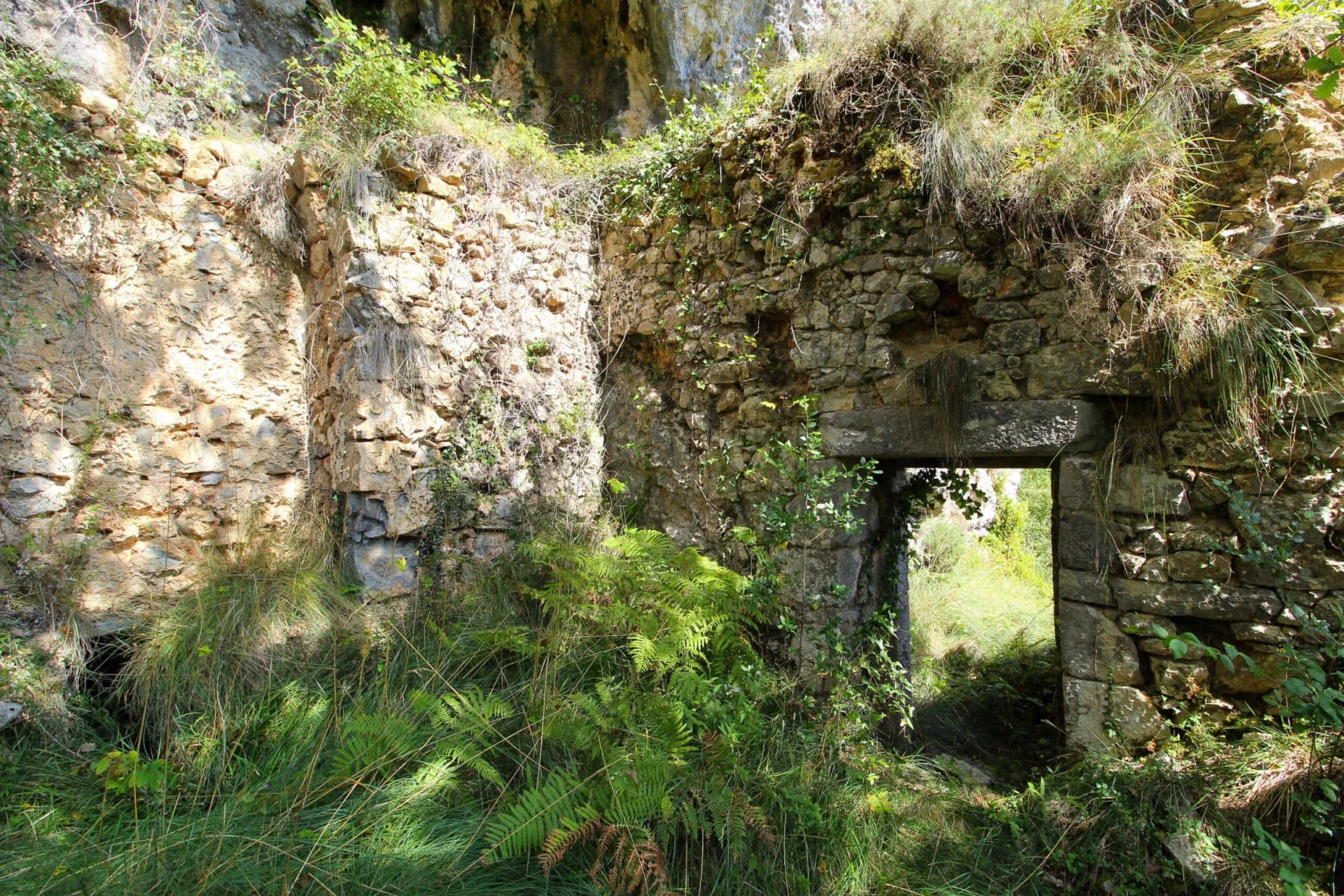 Secretos ocultos de Tolosa