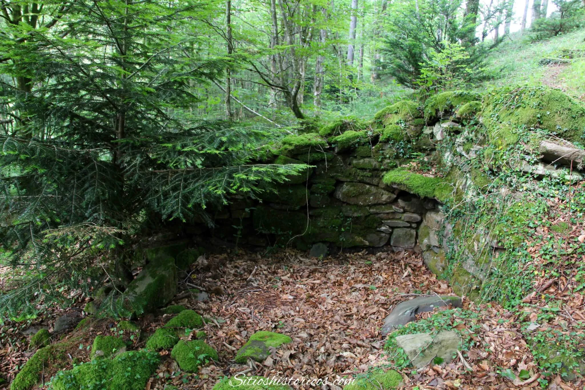 Trampa para lobos en los montes de Leitza.
