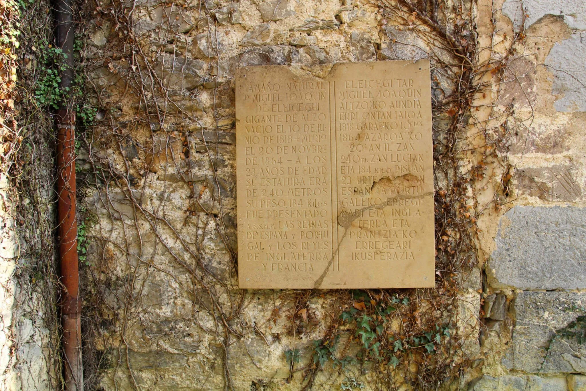 Placa del gigante de Altzo en la iglesia de San Salvador.