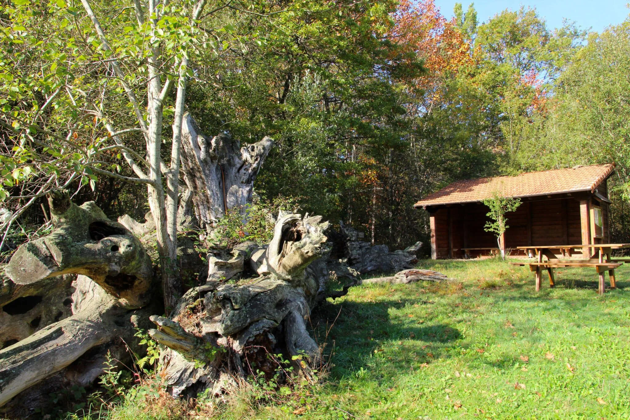 Área de descanso Jauntsarats