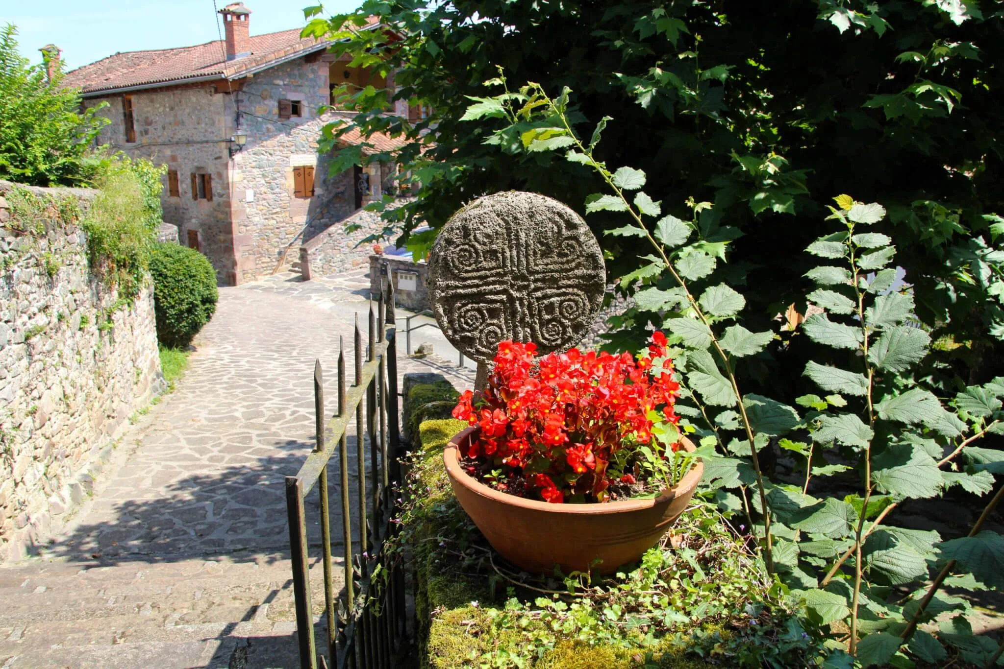 Aniz Navarra