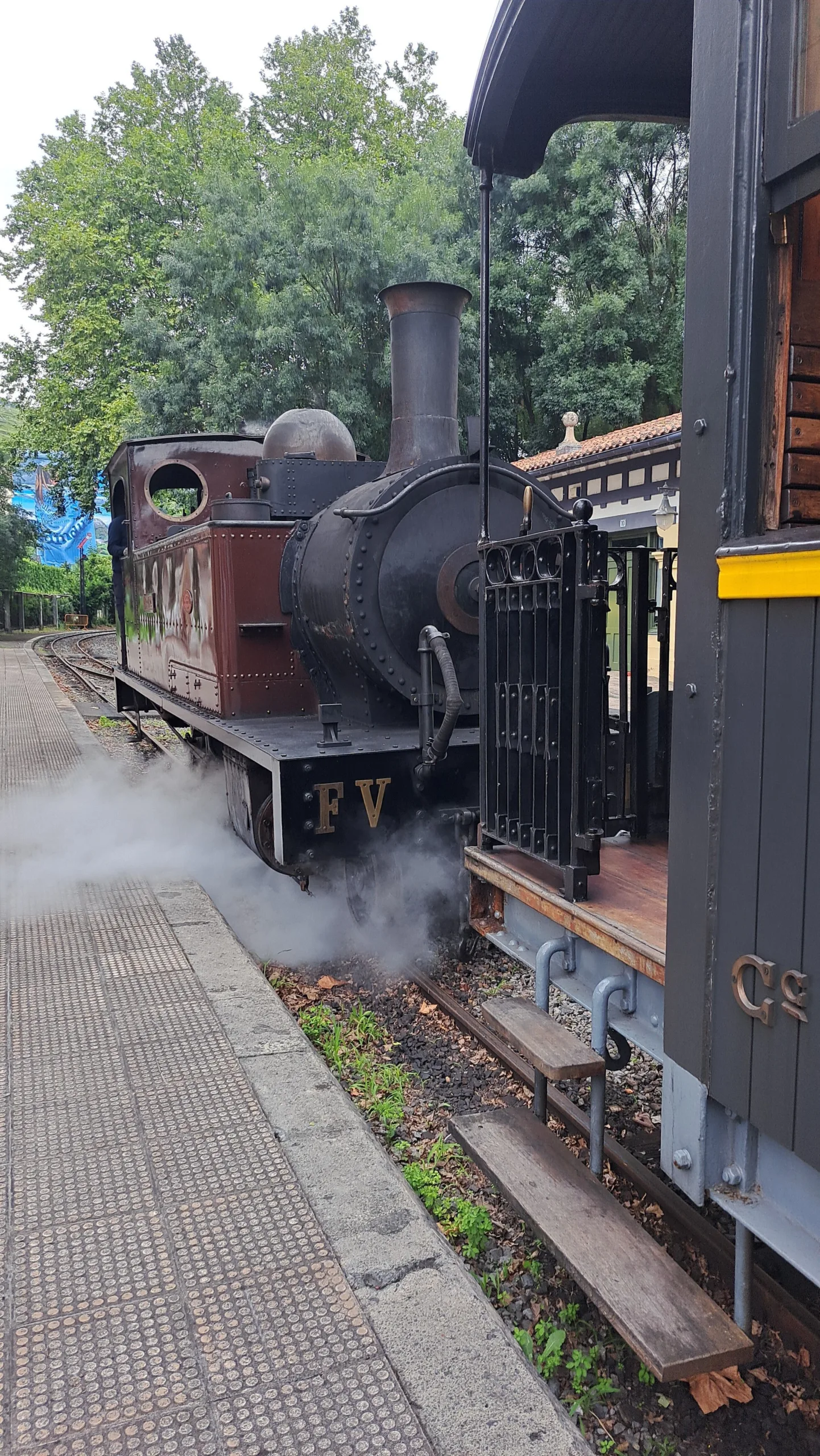 Tren vapor Azpeitia