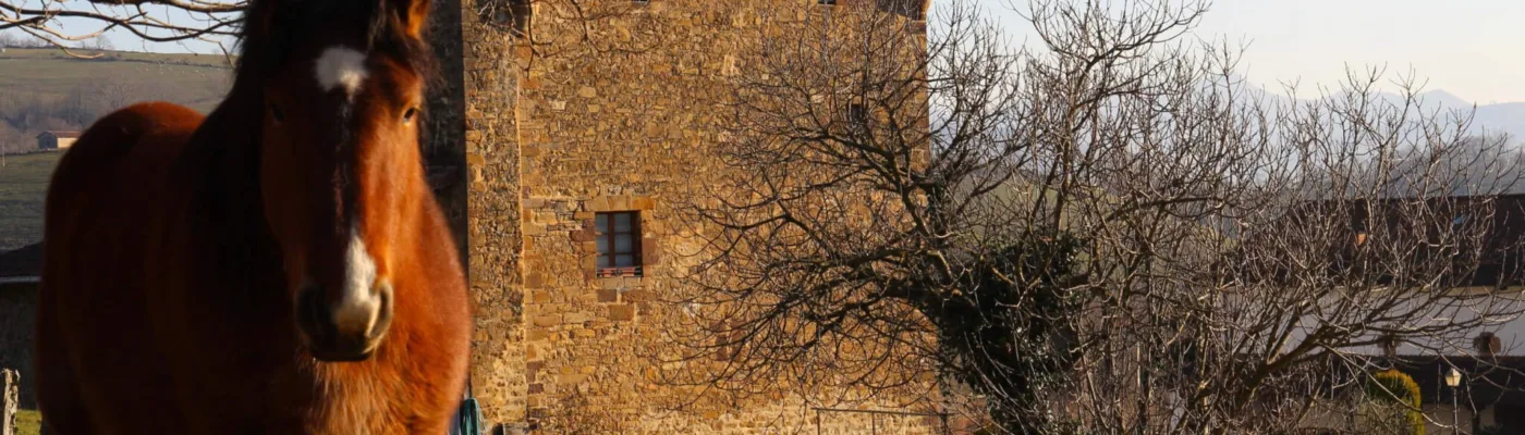 Zozaya valle de Baztán