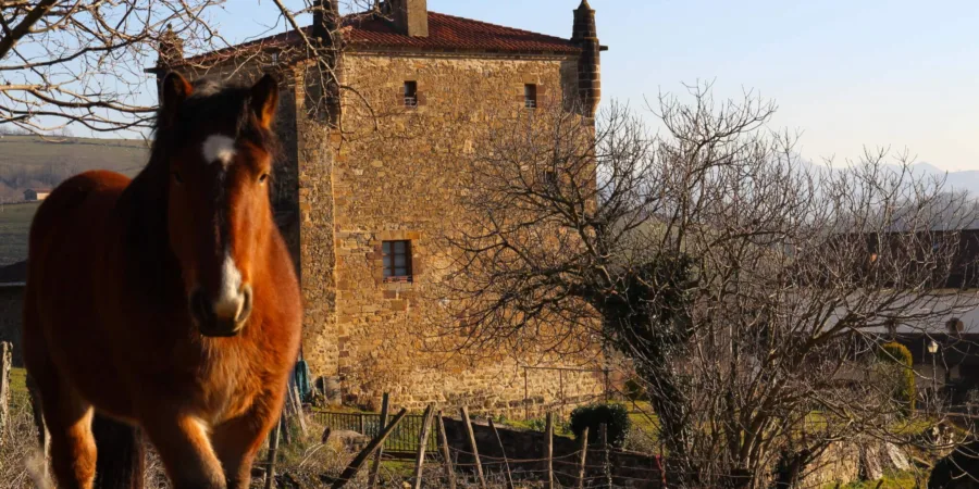 Zozaya valle de Baztán