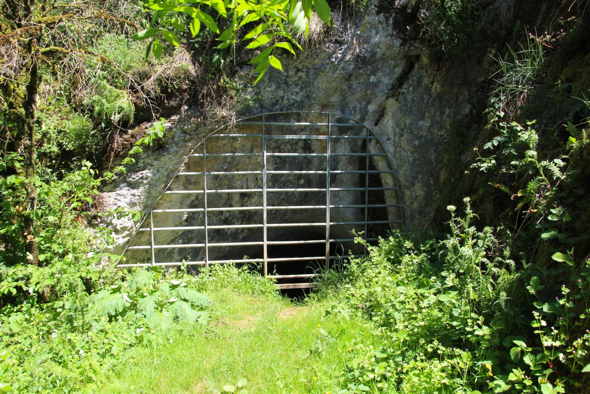 Cueva de Abauntz Arraitz-Orkin