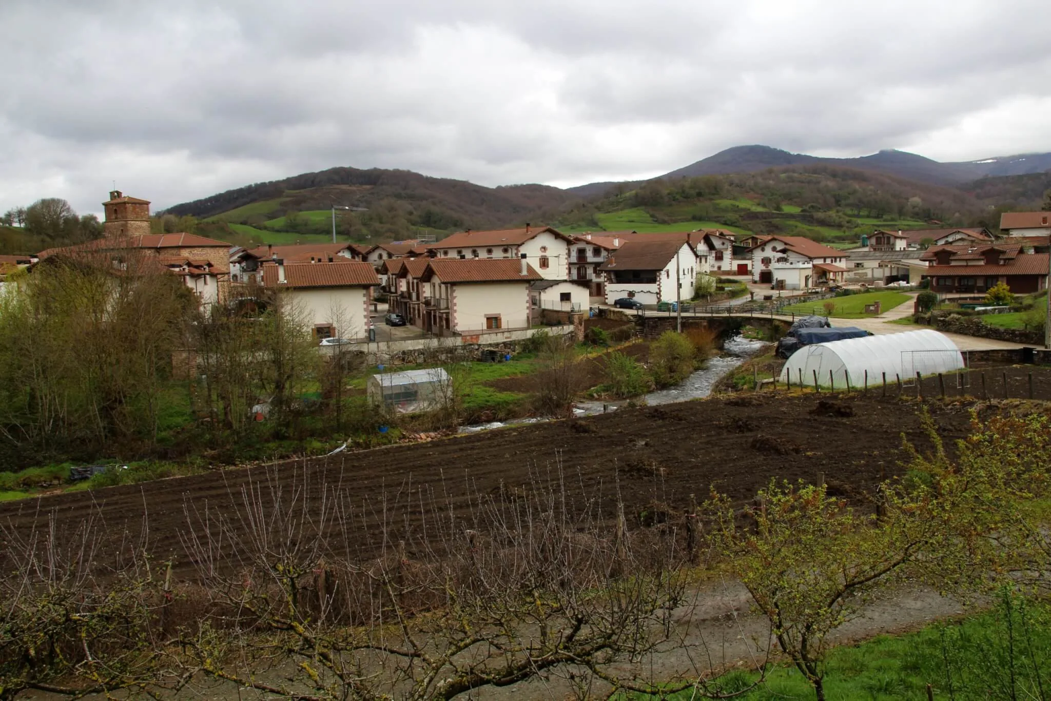 Lantz Navarra