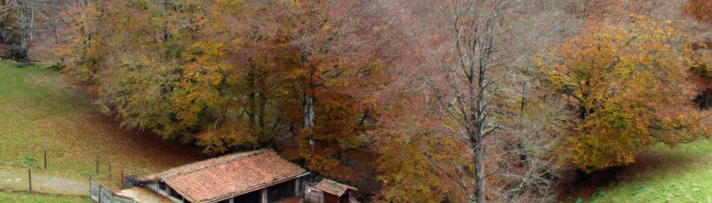 Belate Navarra