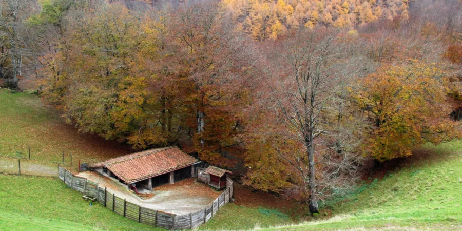 Belate Navarra