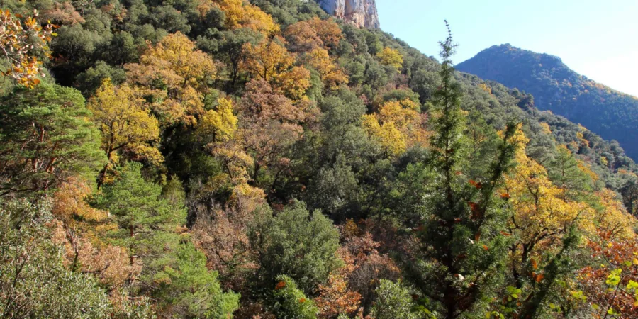 Foz de Santa Colomba Navarra