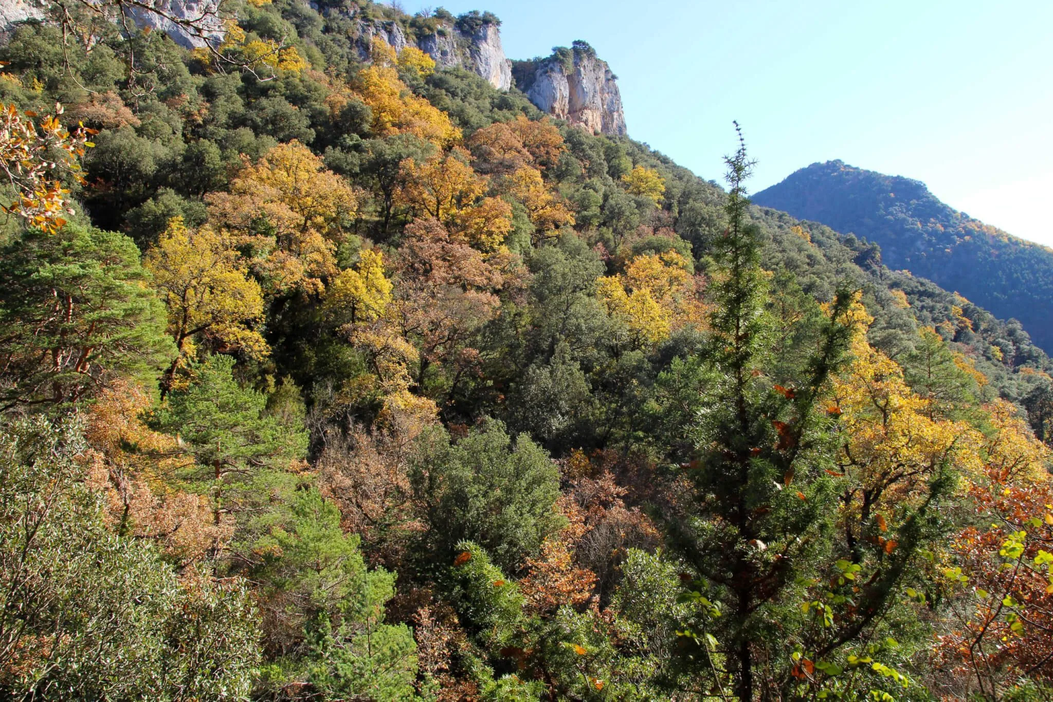 Foz de Santa Colomba Navarra