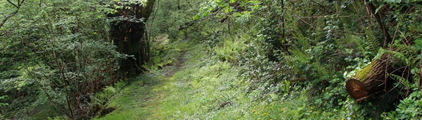 Rutas por la comarca de las Cinco Villas de Navarra.
