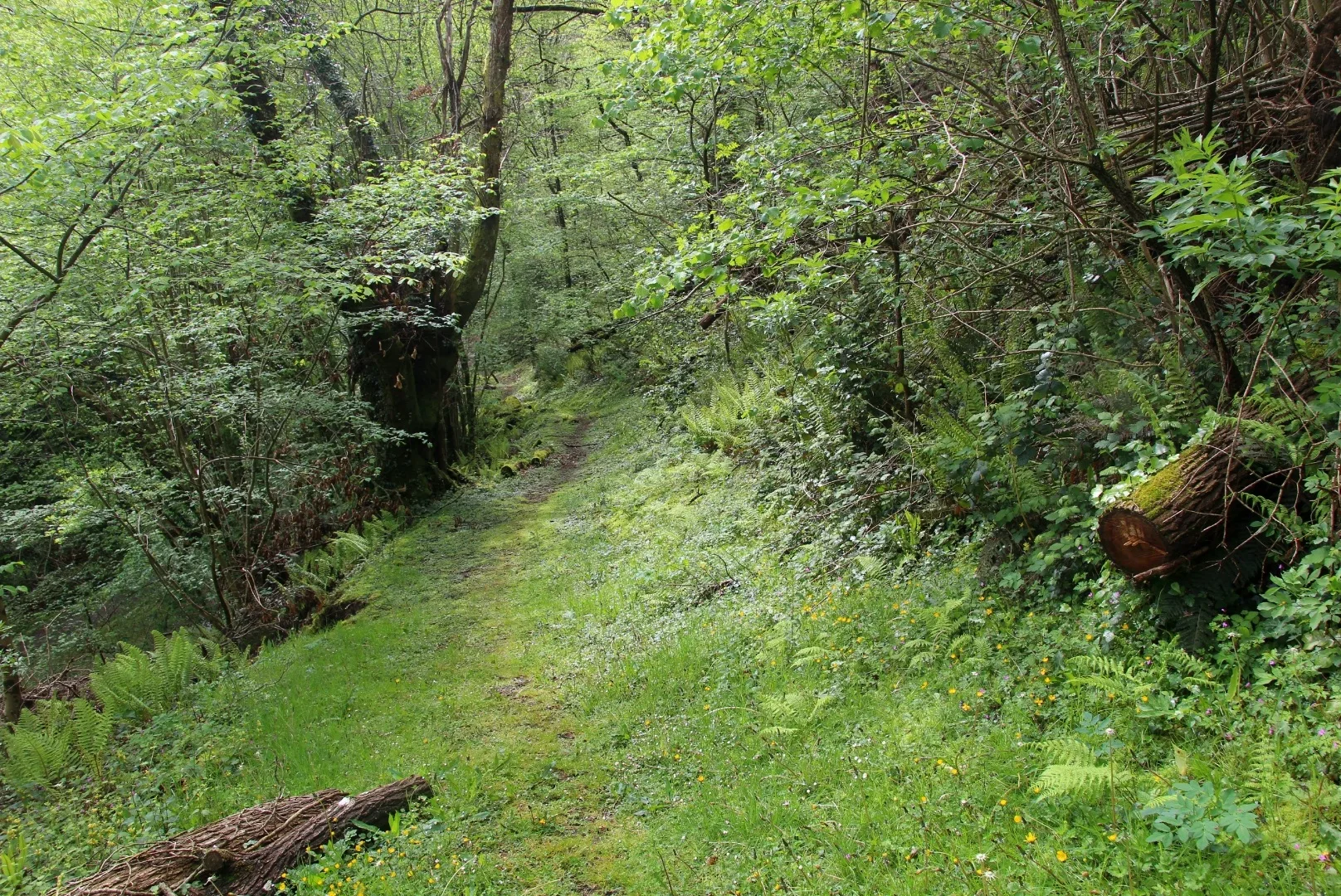 Rutas por la comarca de las Cinco Villas de Navarra.