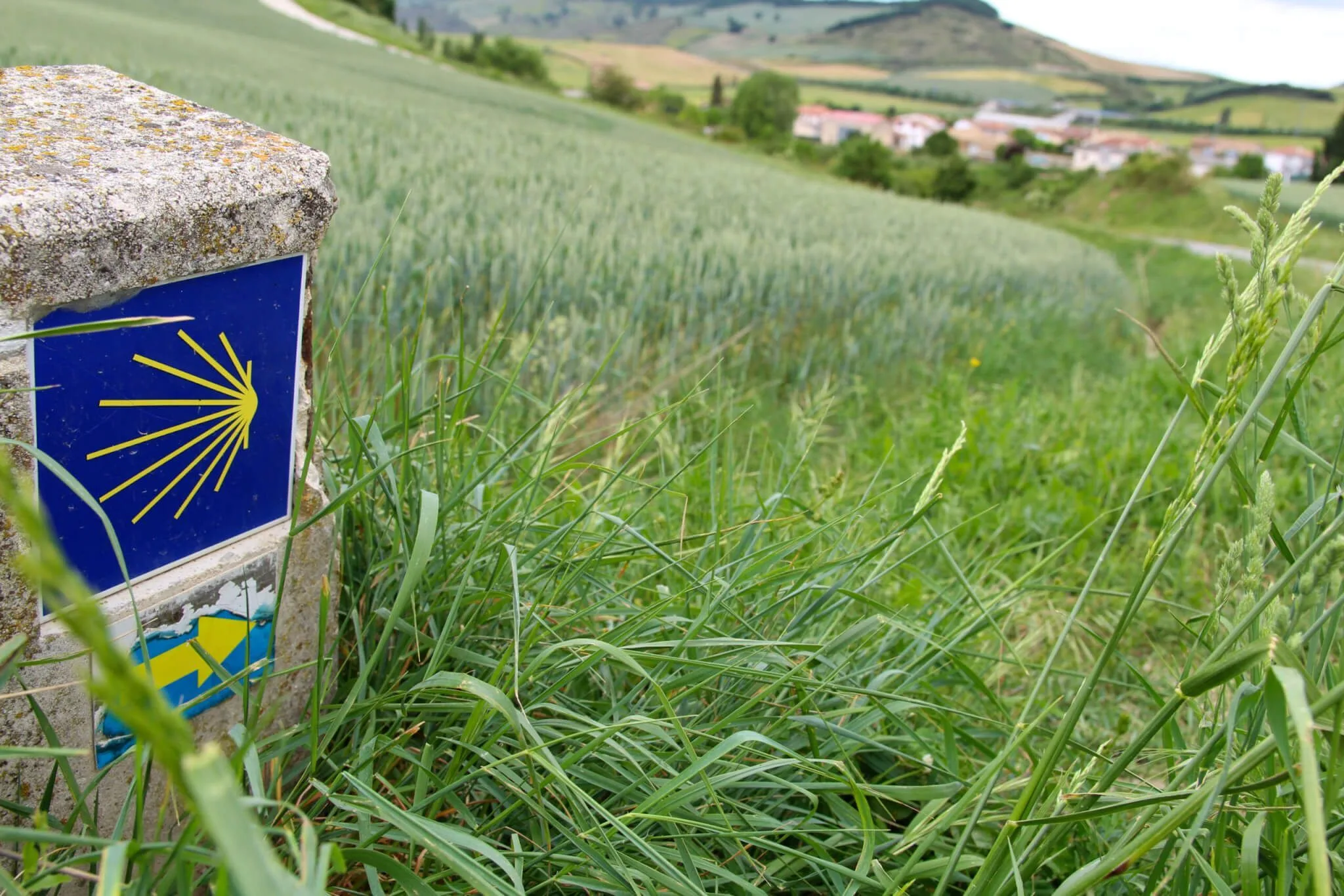 Camino Santiago Navarra