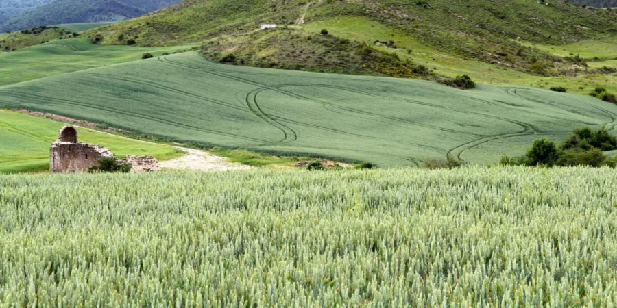Salinas de Ibargoiti