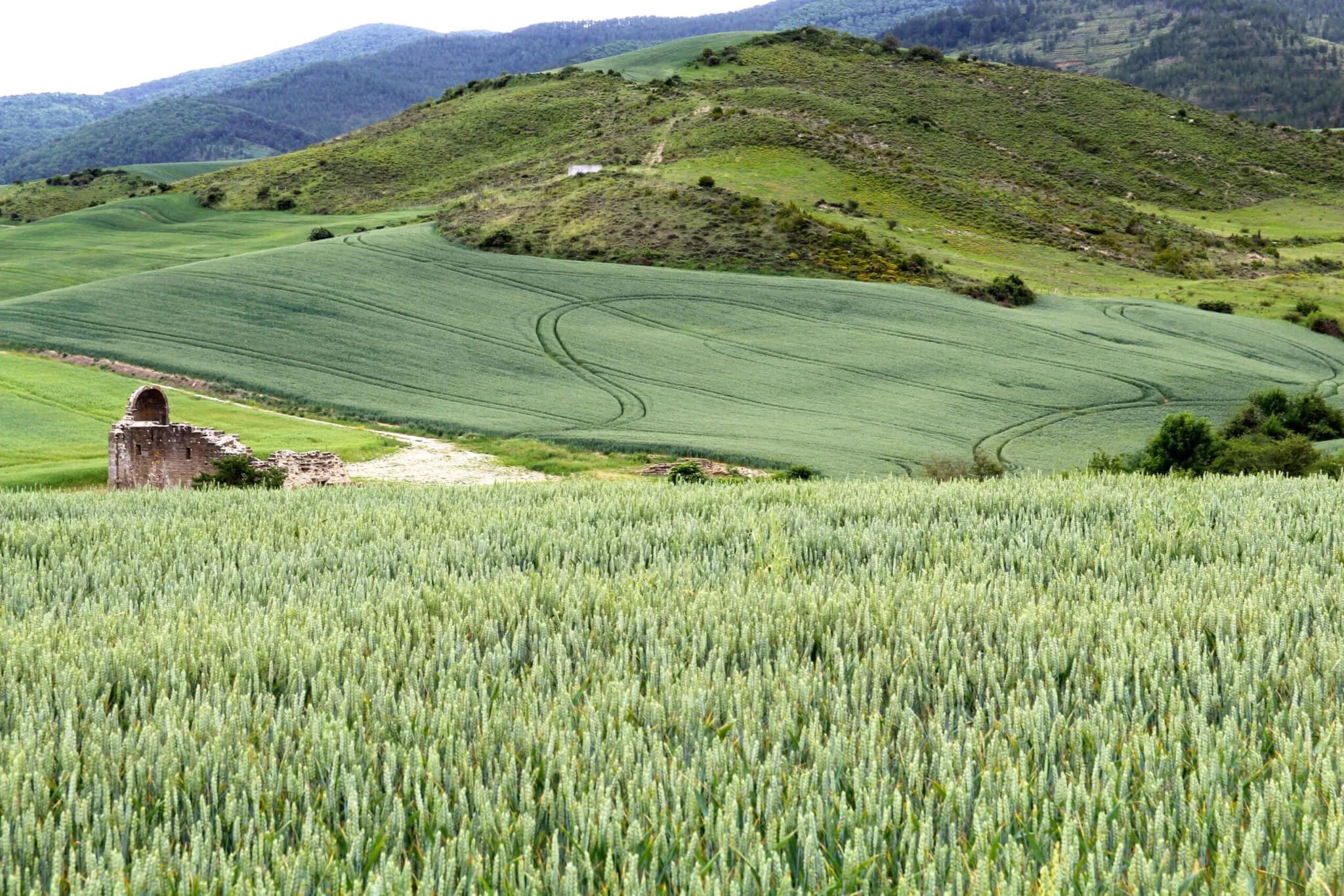Salinas de Ibargoiti
