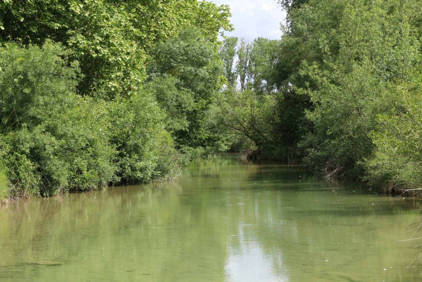 Río Areta