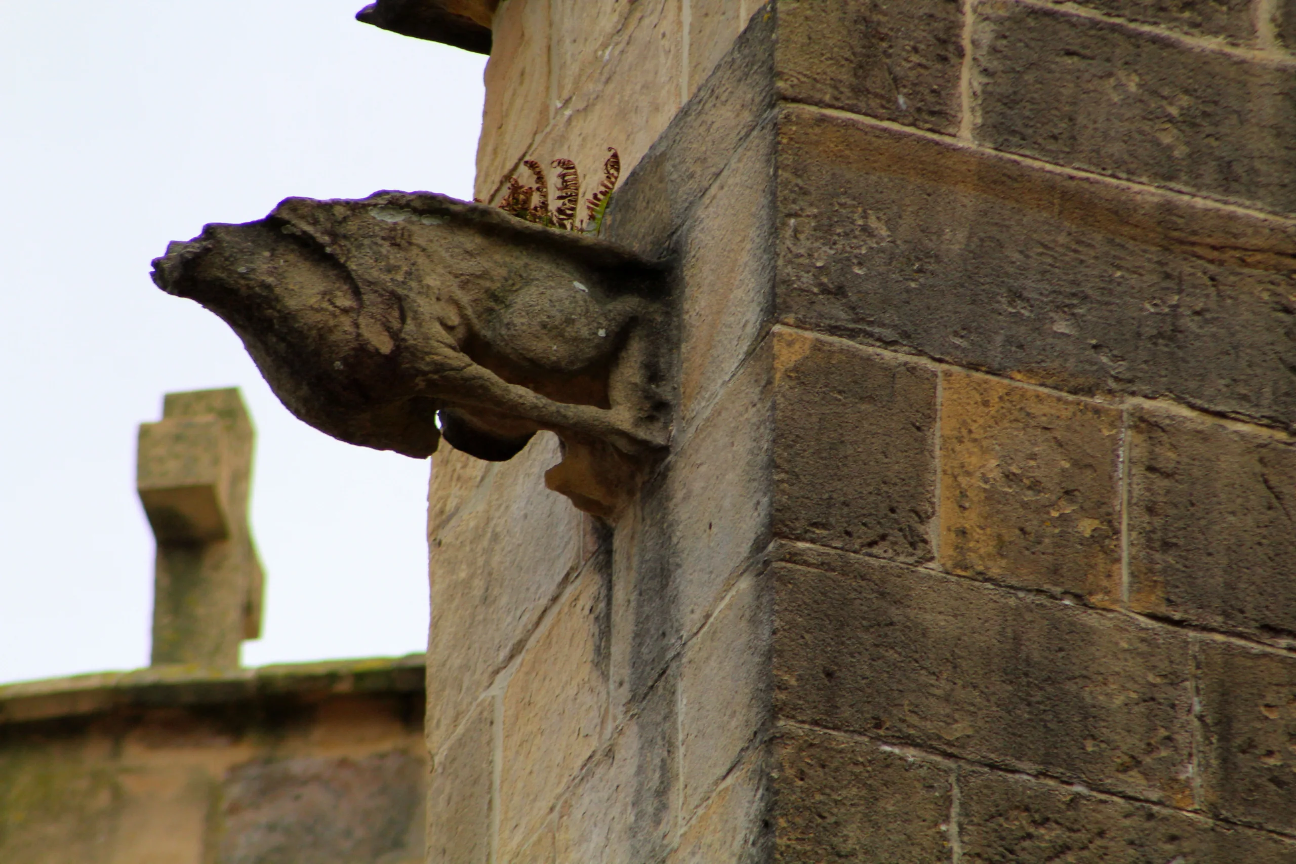 Gárgolas en la iglesia de Guetaria