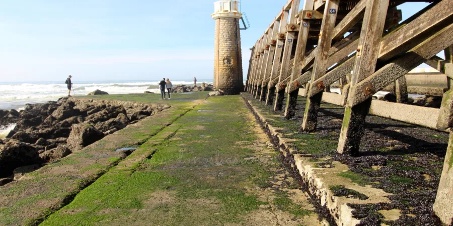 Muelle de Capbreton