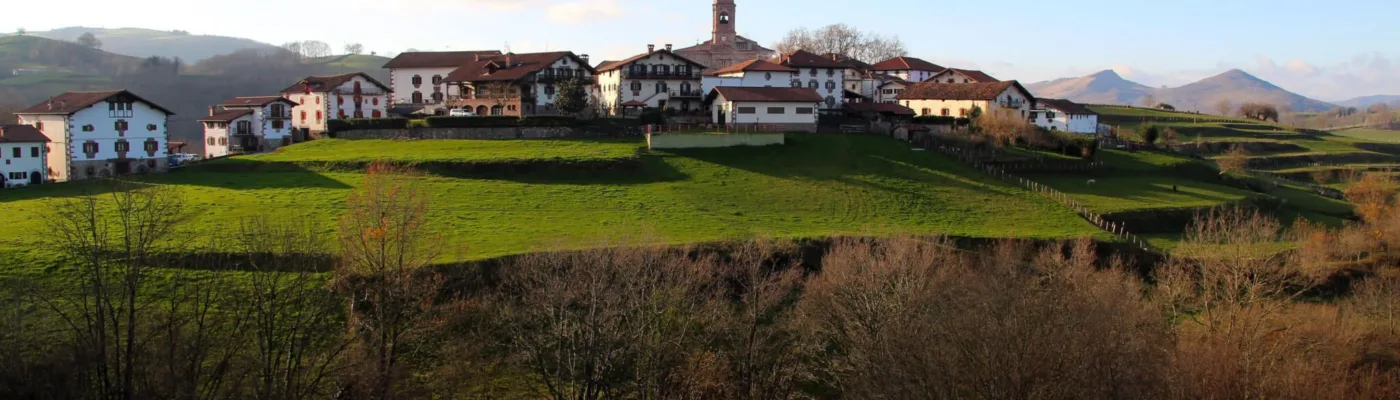 Ziga