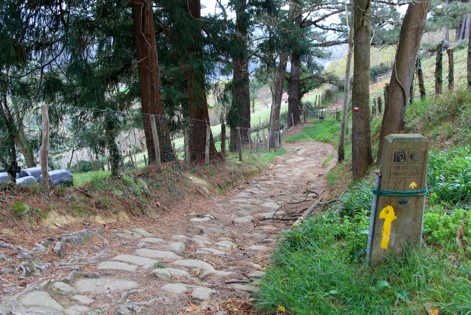 Camino de Santiago por Orio