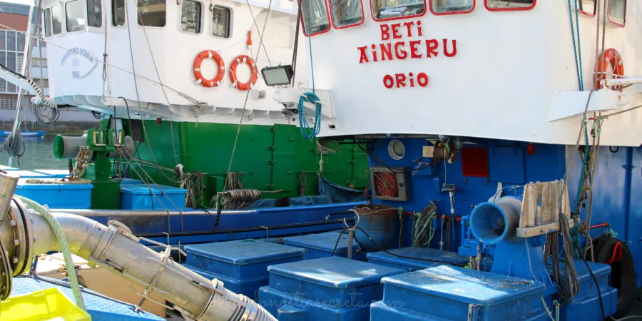Barcos pesqueros de Orio