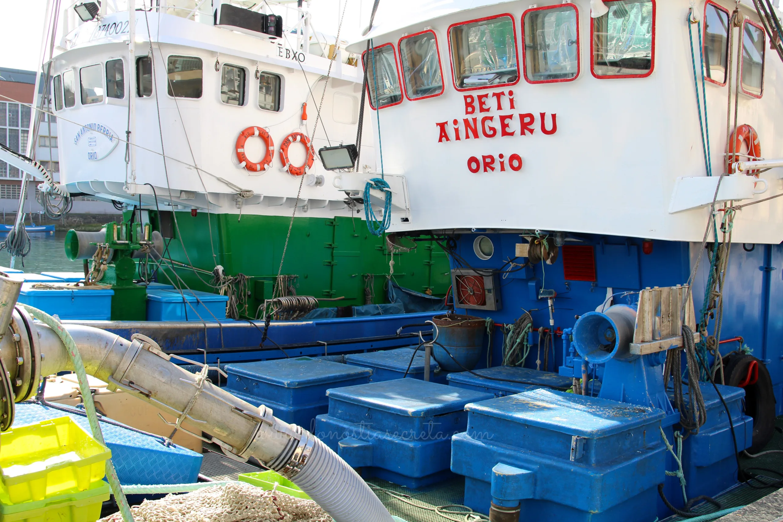 Barcos pesqueros de Orio