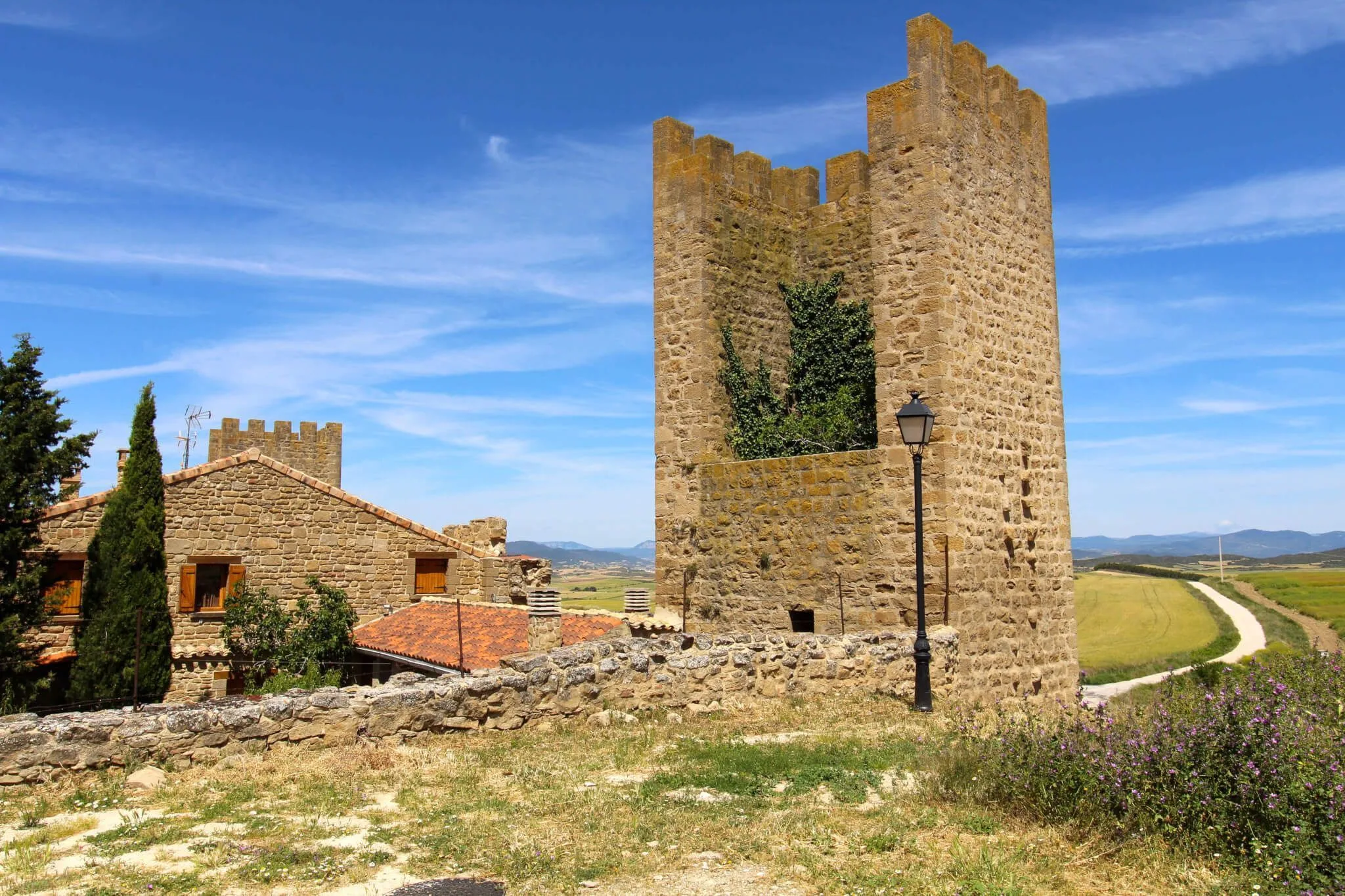 Muralla de Artajona