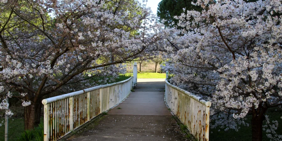Jardín Japonés Donostia