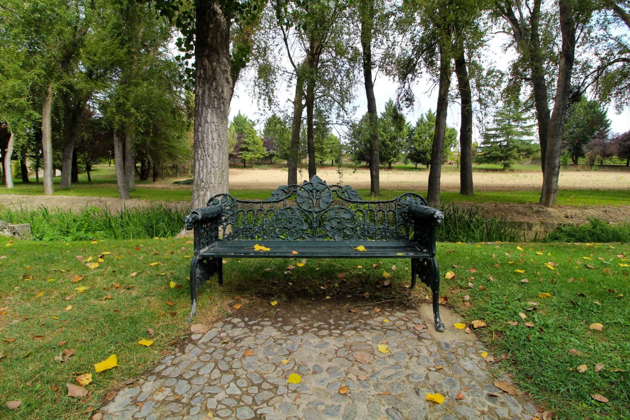 Paseo por Sajazarra