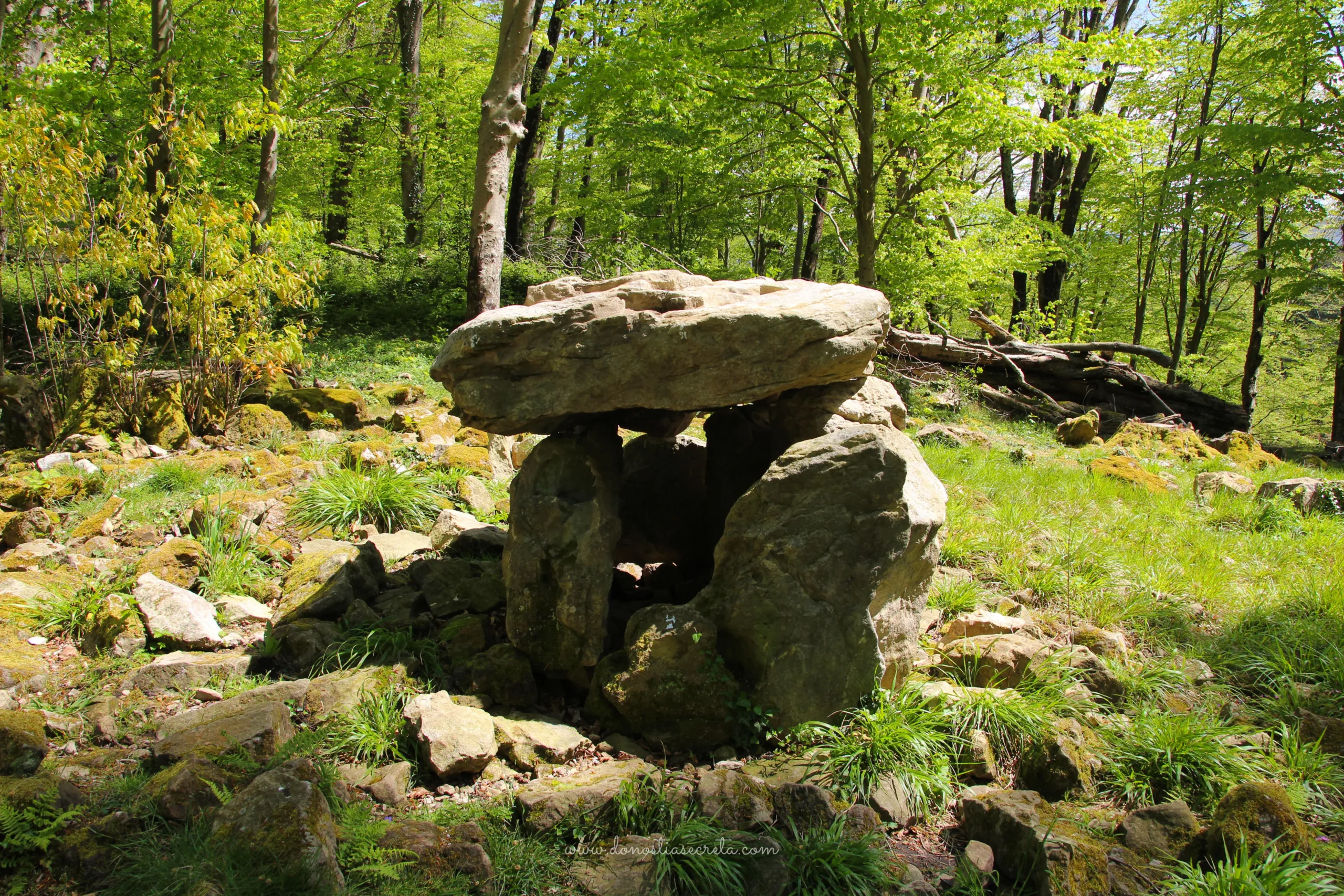 Dolmen en Renteria 