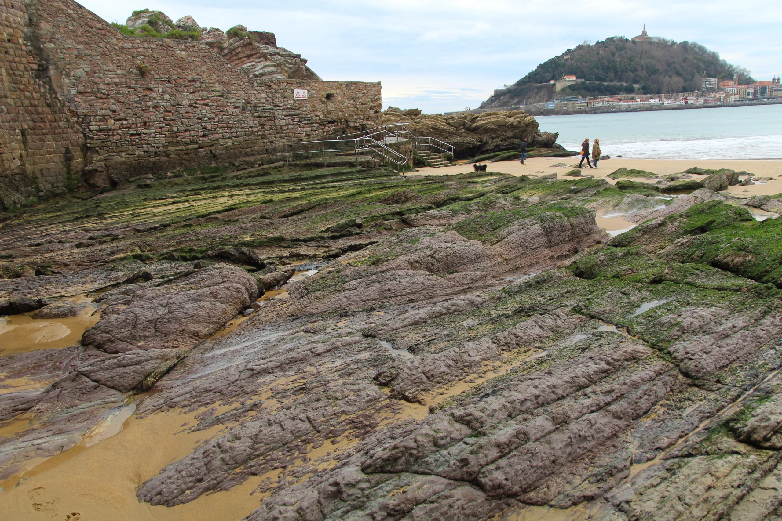 Pico del Loro en San Sebastián
